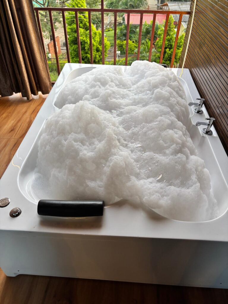 Pawna Lake New Year Camping group celebration with music and DJ